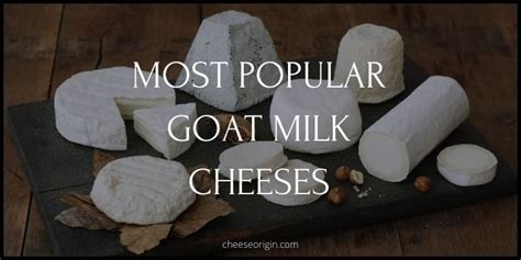 Dive into the Rich History and Origins of Goat Cheese