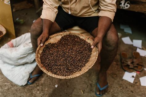 Dive into the Rich History of Coffee Farming and Its Cultural Significance