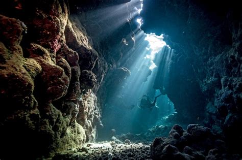 Dive into the Unknown: Exploring the Deep Sea World