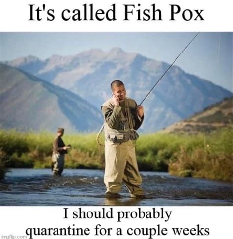 Dive into the World of Fishing Memes