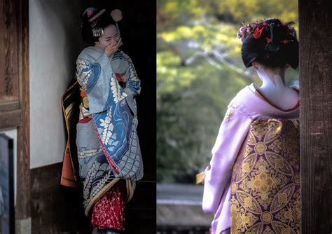 Dive into the World of Geisha: An In-Depth Exploration