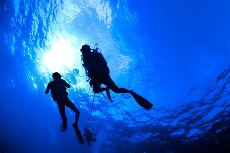 Diving into the Deep Waters of Dreams Featuring Men Bathing