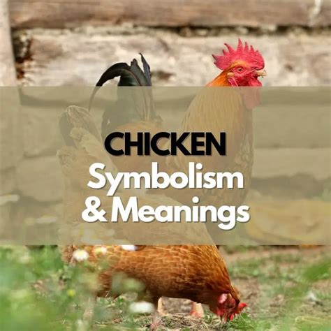 Diving into the Meaning of a Battling Chicken Symbol