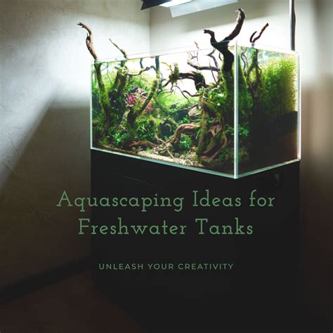 Diving into the World of Aquascaping: Unleashing Your Creativity beneath the Surface