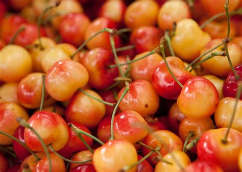 Diving into the World of Cherries: Varieties, Flavors, and Origins