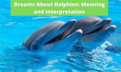 Dolphin Dreams: Unveiling the Profound Link Between Inner Strength and Protection