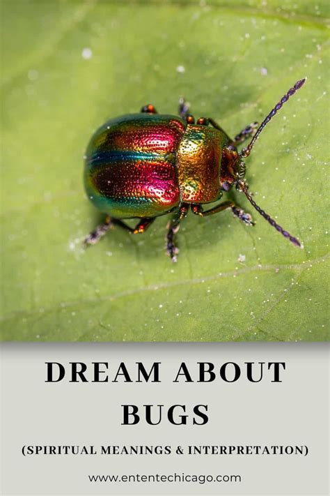 Dream Interpretation: Decoding the Enigmatic Significance of Insect Dreams