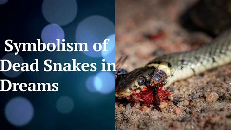 Dream Interpretation: Decoding the Symbol of a Beheaded Serpent