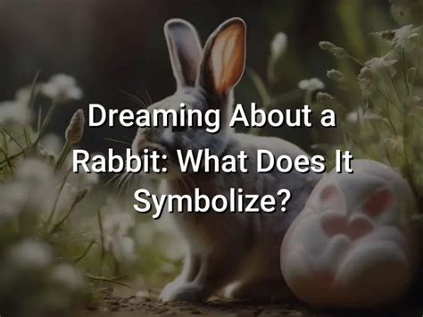 Dream Interpretation: What Does the Pursuit of Rabbits in Dreams Symbolize?