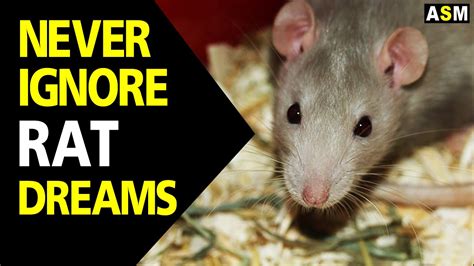 Dream of Lifeless Rodents: What Does It Signify?