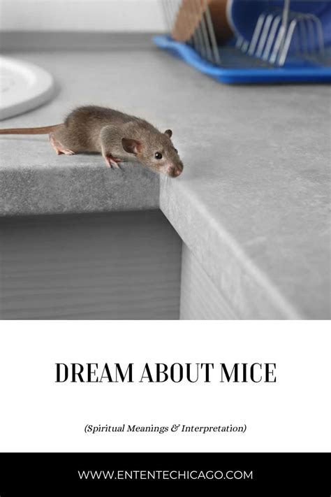 Dreaming Beyond Sleep: Is it Possible for Mice to Daydream?