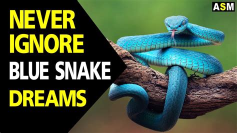 Dreaming about multiple snakes: the significance of such dreams