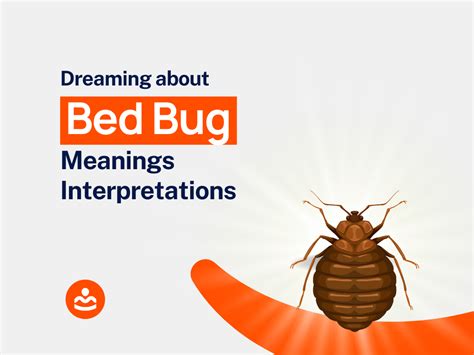 Dreaming of Bed Bugs: An Otherworldly Reality