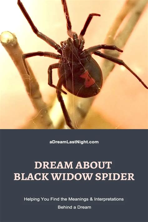 Dreaming of Confronting a Black Widow Spider: Decoding the Hidden Meanings