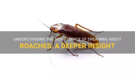 Dreaming of Infant Roaches: Unveiling the Cryptic Significance