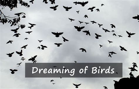 Dreaming of a Confined Bird: What Does It Say About Your Sense of Freedom?