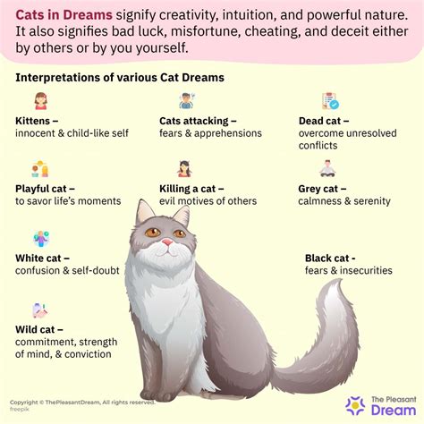 Dreaming of a Feline Companion: Interpretations According to Hindu Beliefs