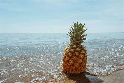 Dreaming of a Pineapple: What Does It Signify?