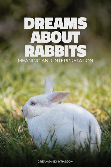 Dreaming of a Rabbit: Interpretation and Analysis