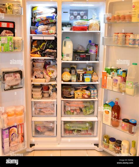 Dreaming of a Well-Stocked Fridge: Tips for Optimal Food Storage