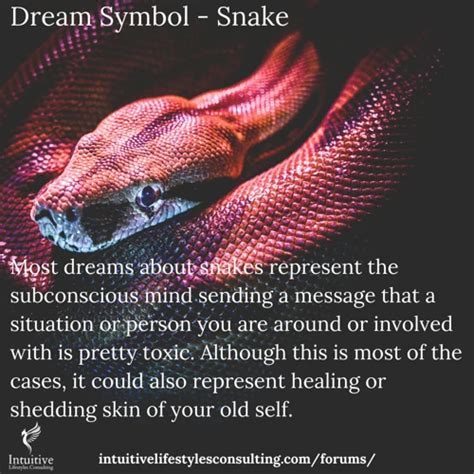 Dreams Can Become Reality: Overcoming Your Fear of Snakes