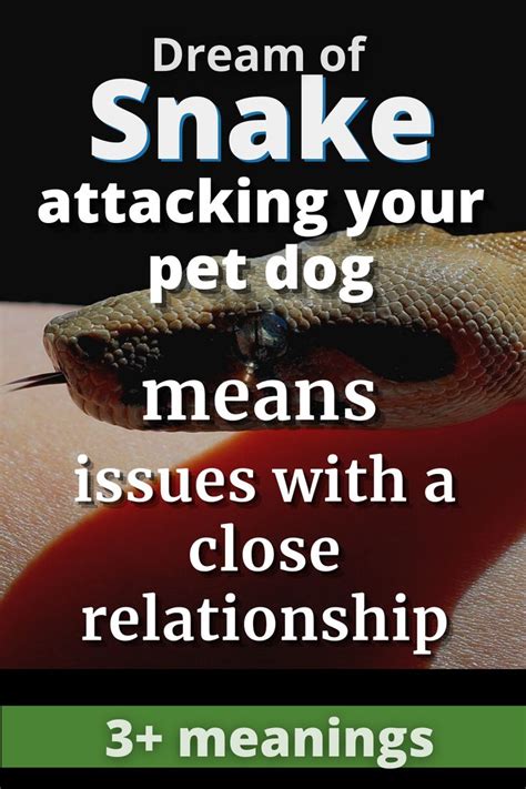 Dreams about Dogs Killing Snakes: Common Interpretations