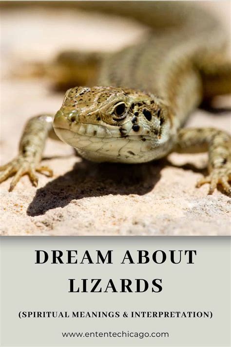 Dreams of Lizard Bites: A Comprehensive Analysis and Interpretation