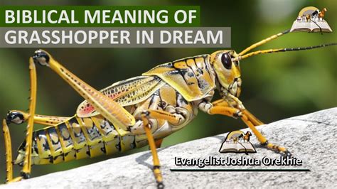 Dreams of a Grasshopper-Free World