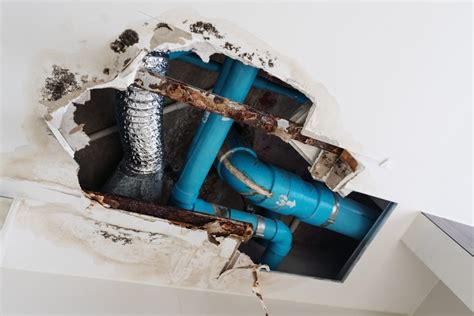 Dreams shattered: The catastrophic consequences of household water damage