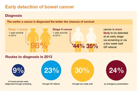 Early Detection Matters: Screening and Diagnosis for Bowel Cancer