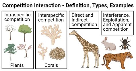 Ecological Context and Competition: