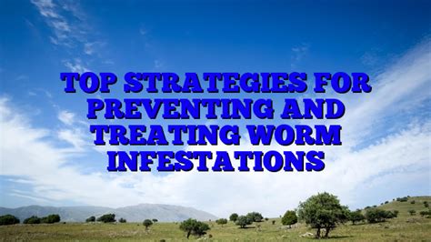 Effective Prevention Strategies for Worm Infections