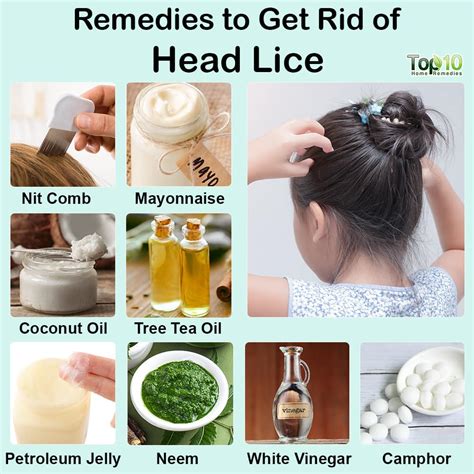 Effective Strategies for Handling Head Lice: Successful Treatment Approaches and Precautionary Measures