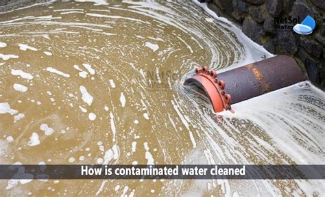 Effective Strategies for Purifying Contaminated Waterways