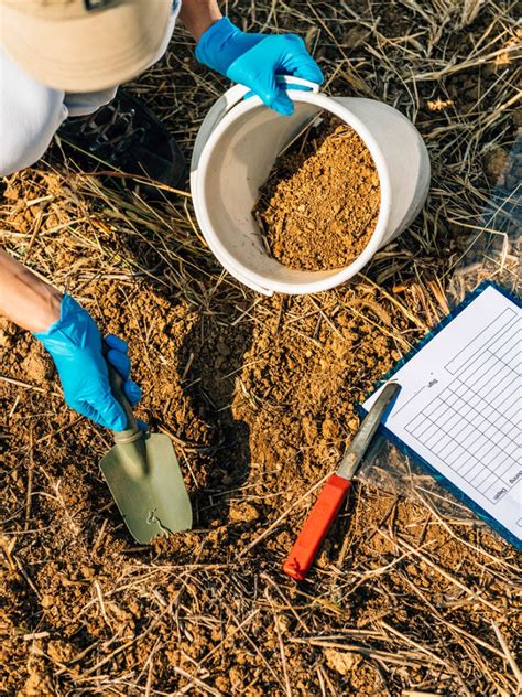 Effective Techniques for Soil Testing and Analysis