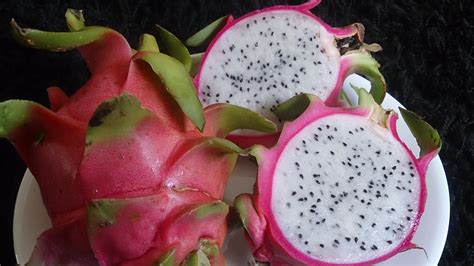 Embark on an Enthralling Journey through the Fascinating Realm of Dragon Fruit