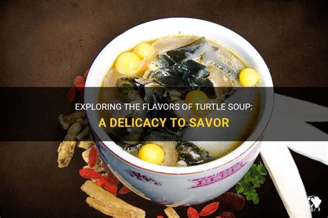 Embark on an Exquisite Journey with the Delicacy of Turtle Soup