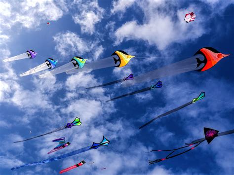 Embrace the Freedom: The Art of Kite Flying