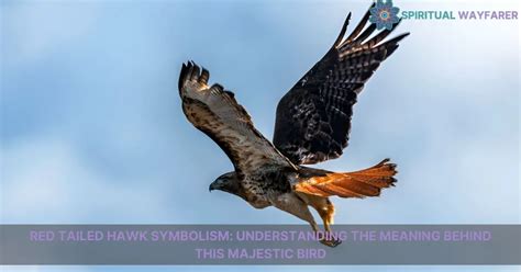 Embracing Freedom: Exploring the Hawk's Symbolism of Liberation