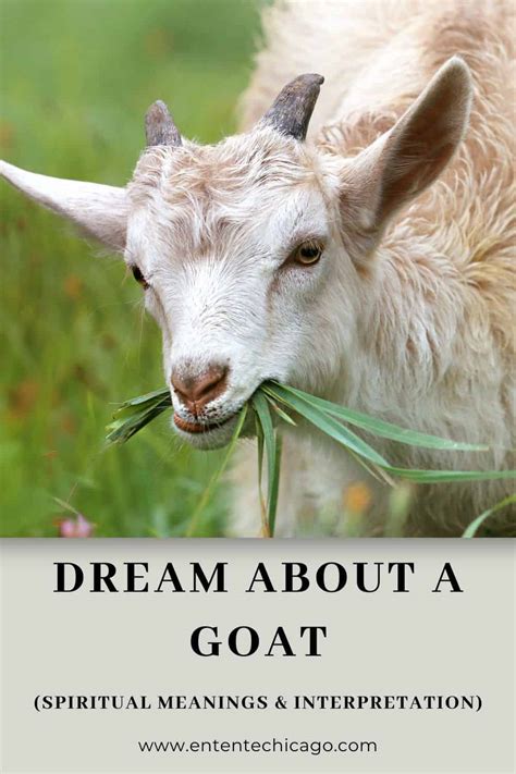 Embracing the Goat: Harnessing the Power of Goat Dreams through Dream Interpretation