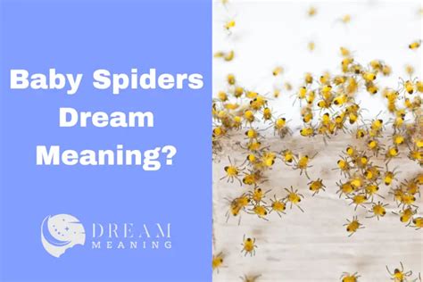 Embracing the Positive Aspects of Dreaming about Infant Arachnids