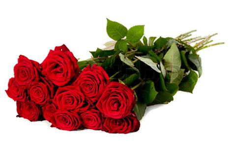 Embracing the Romance: Red Roses for Special Moments