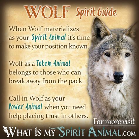 Embracing the Spirit Animal: Connecting with Wolf Symbolism in Dreams