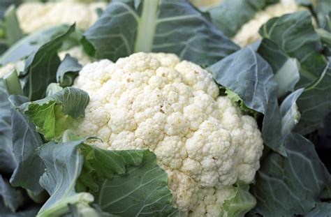 Embracing the Spiritual Significance of Cauliflower in Dreamscapes