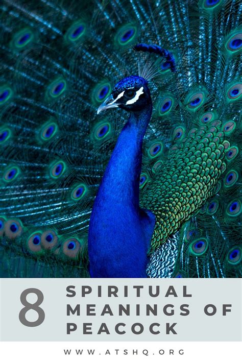 Embracing the Symbolism: Unveiling the Meaning Behind Peacock Birthing Visions