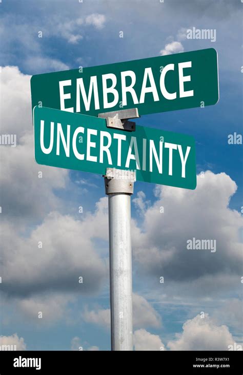 Embracing the Uncertainty: Embracing the Unfamiliar and Embracing the Ambiguity