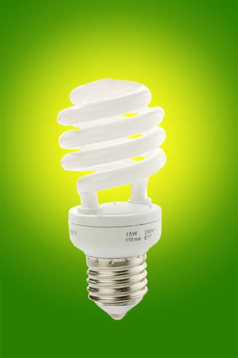 Energy Efficiency: The Importance and Selection of Environmentally Friendly Light Bulbs