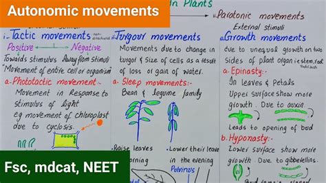 Engineering Nature: The Mechanics Behind Plant-Generated Aerial Movement