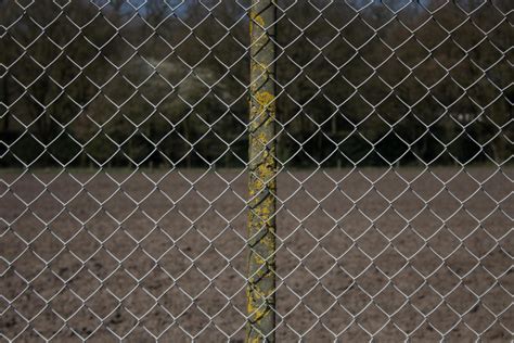 Enhancing Your Chain Link Fence: Tips for Adding Elegance and Charm