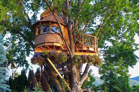 Enhancing Your Treehouse with Illumination and Electrical Power